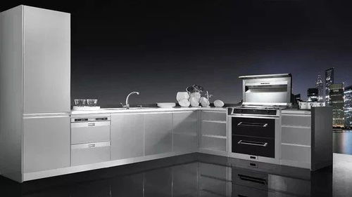 疫后家電市場(chǎng)新趨勢(shì) 集成灶銷(xiāo)量迅猛回升，凈水機(jī)需求持續(xù)增長(zhǎng)